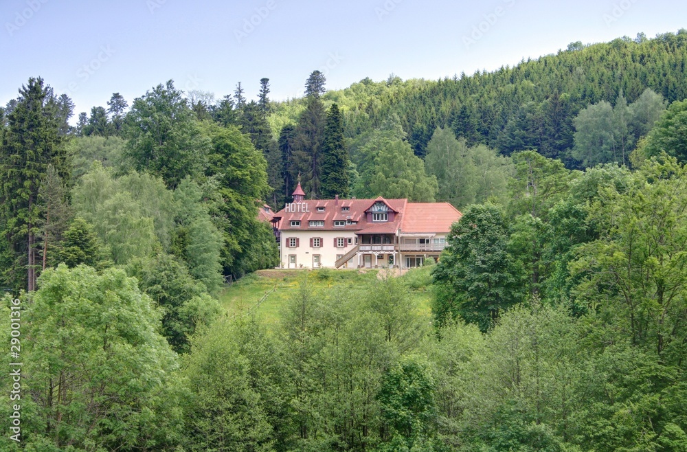 foret vosgienne