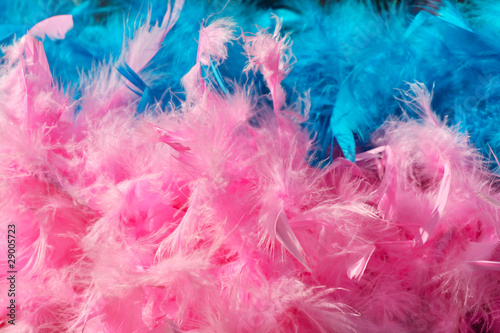 pink blue feather boa