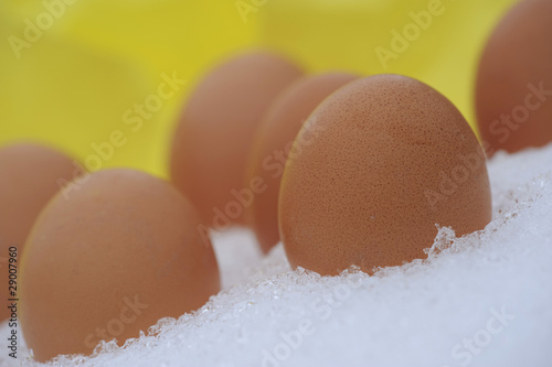 Eggs in snow