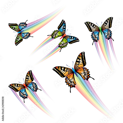Butterfly Collection with rainbow jet