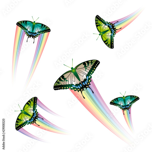 Butterfly Collection with rainbow jet