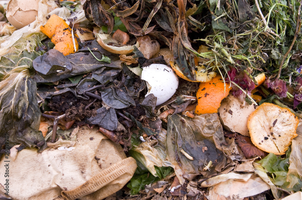 Zest and an eggshell in the kitchen waste