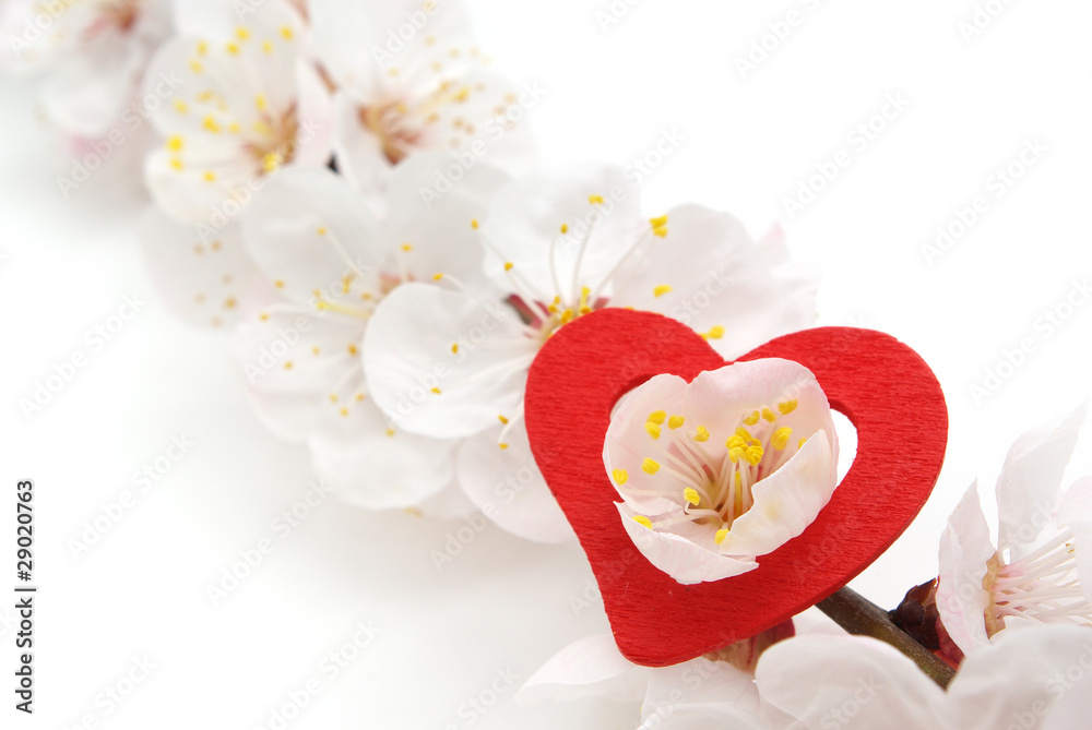 Heart and sakura. Heart and sakura.