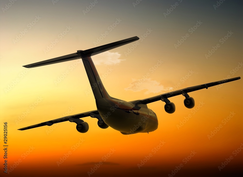 Fototapeta premium A passenger plane