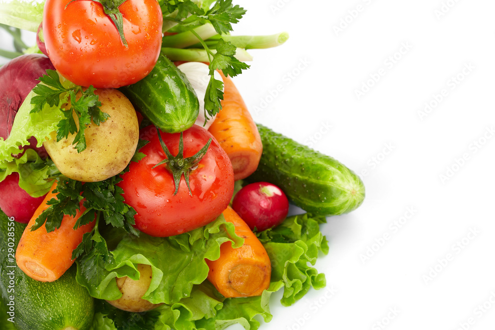 fresh vegetables on the white background