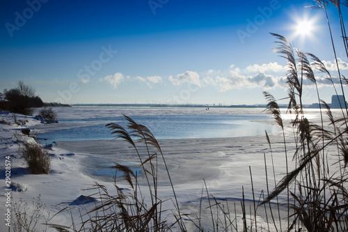 Fototapeta Naklejka Na Ścianę i Meble -  Winter rural landscape.
