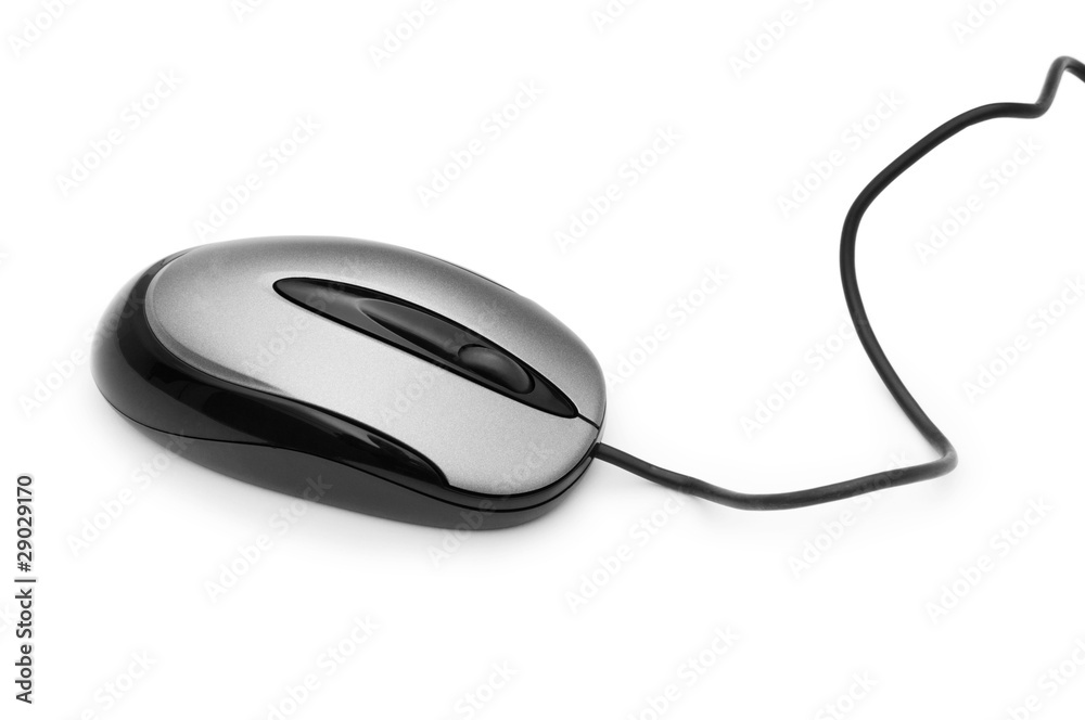 Computer mouse isolated on the white background Computer mouse isolated on the white background