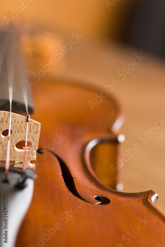 Violin Macro