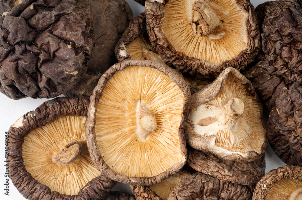 Dried Mushrooms close up Dried Mushrooms close up