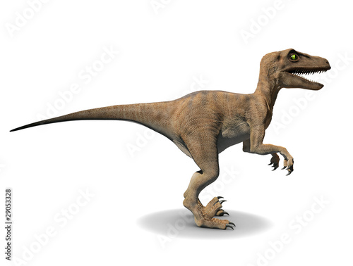 3d Velociraptor dinosaur side view © Steve Young