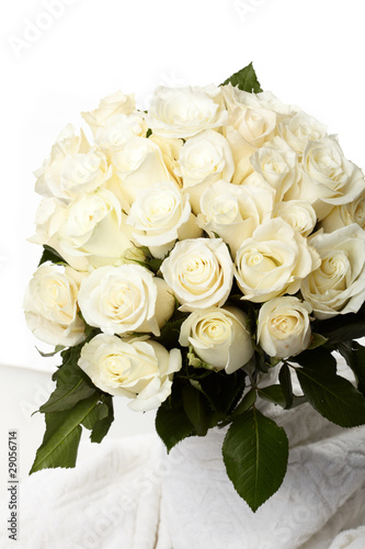 Cream roses