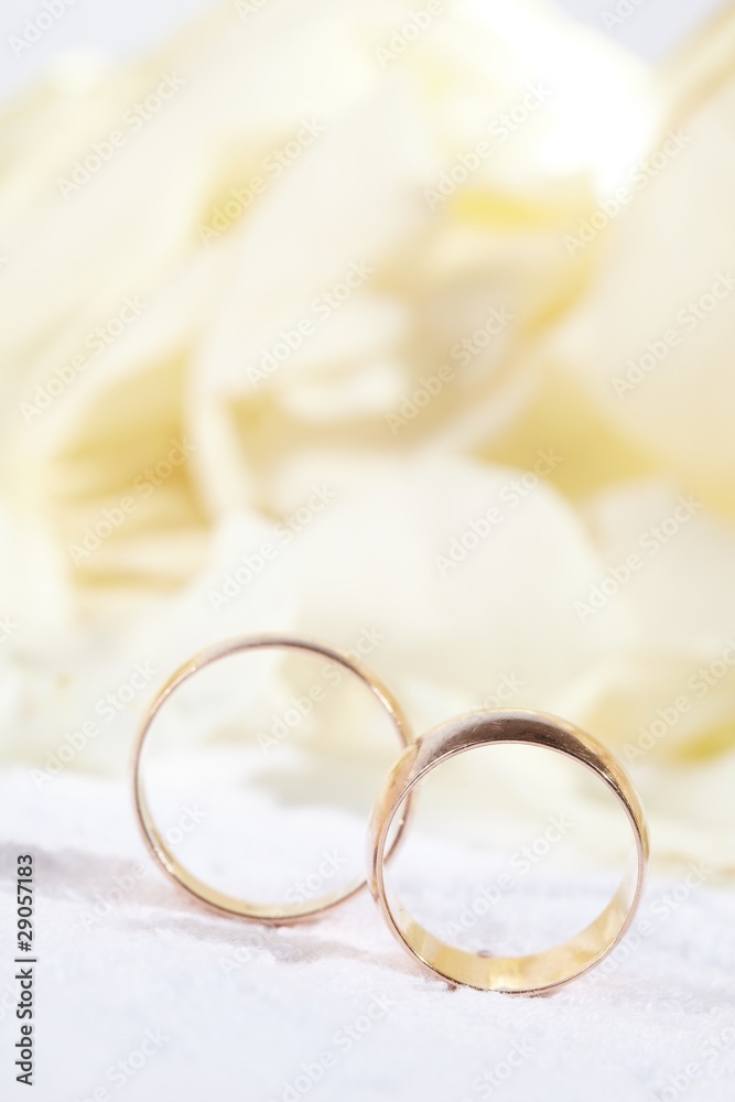 golden rings and rose petals golden rings and rose petals
