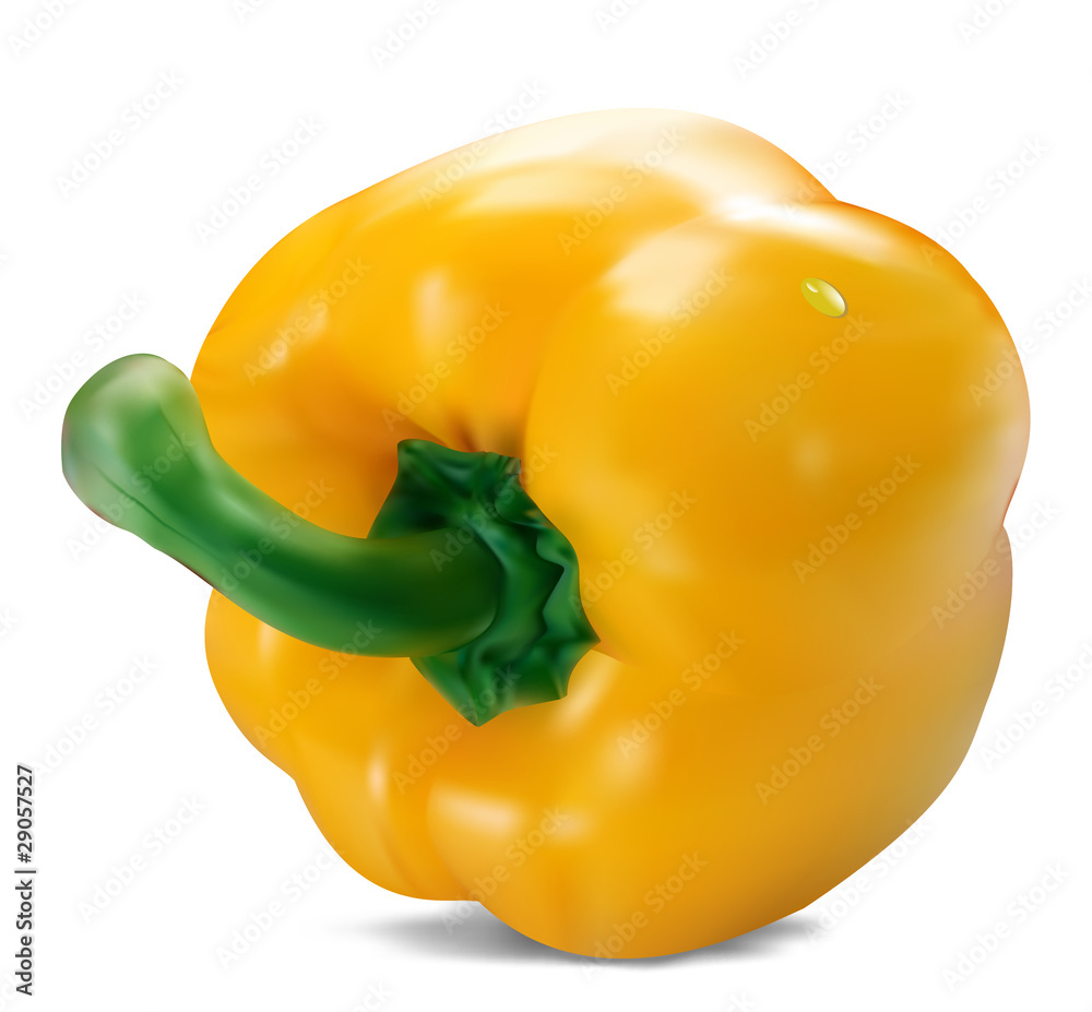 yellow paprika yellow paprika