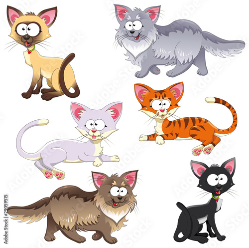 Family of cats. Vector animal characters. Isolated objects