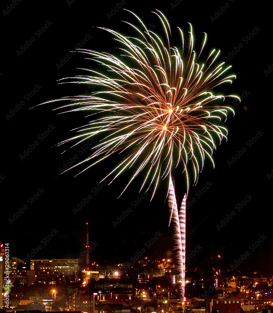 Fireworks Against the Night Sky of a Cityscape Fireworks Against the Night Sky of a Cityscape