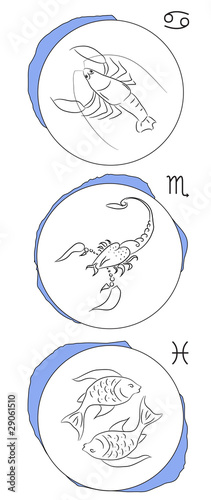 Zodiac signs - the water elements