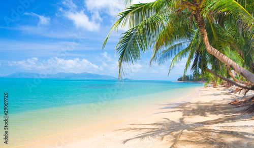beautiful beach with coconut palm © Alexander Ozerov