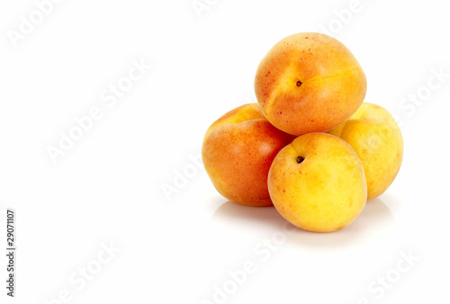 apricots on white