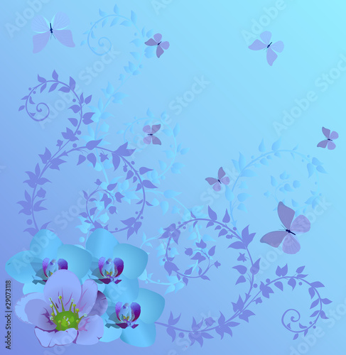 blue orchids and butterflies