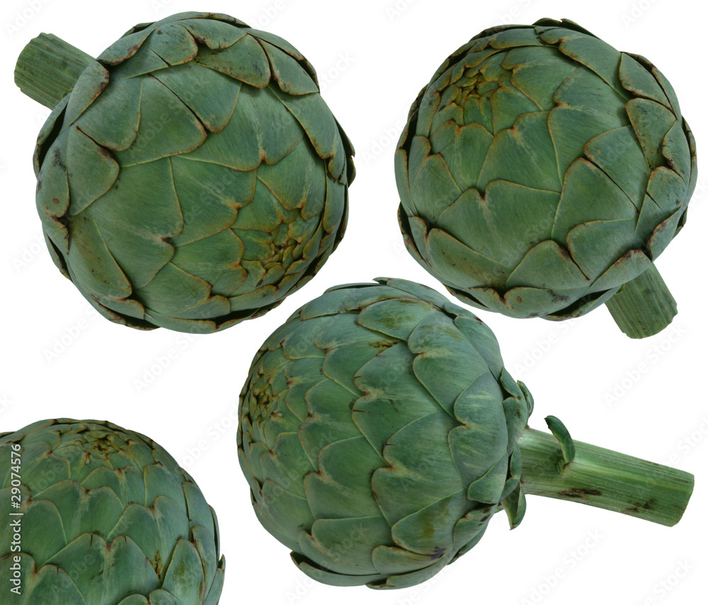 Fototapeta premium Artichauts de Bretagne