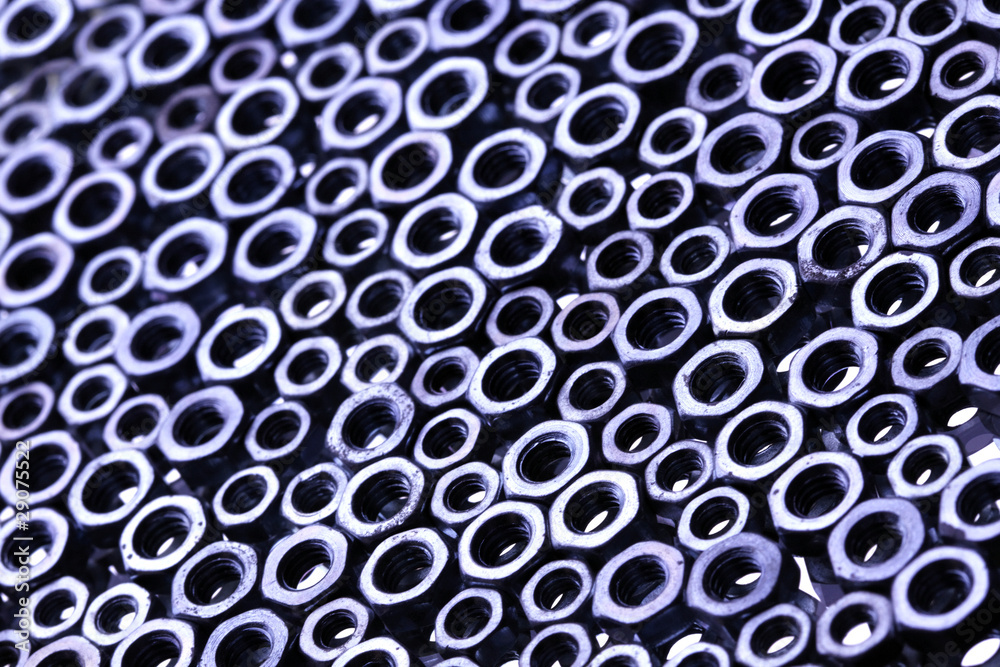 Stell nuts closeup Stell nuts closeup