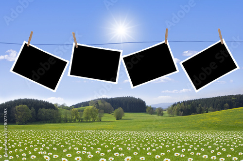 Fotos auf der Leine