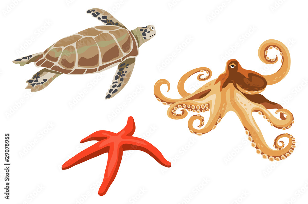 Obraz premium Underwater Life