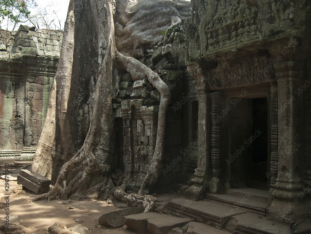 Naklejka premium Angkor Thom,Ta Prohm