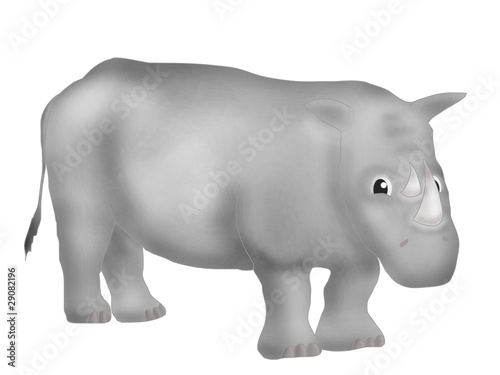 grey rhinoceros