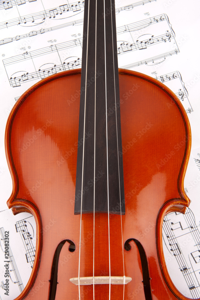 Fototapeta premium Violine Ausschnitt