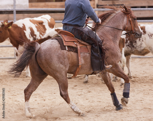 Rodeo photo