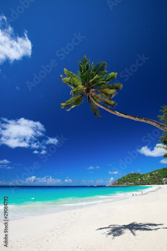 Perfect beach in Seychelles