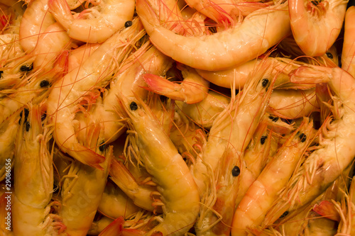 Langostinos