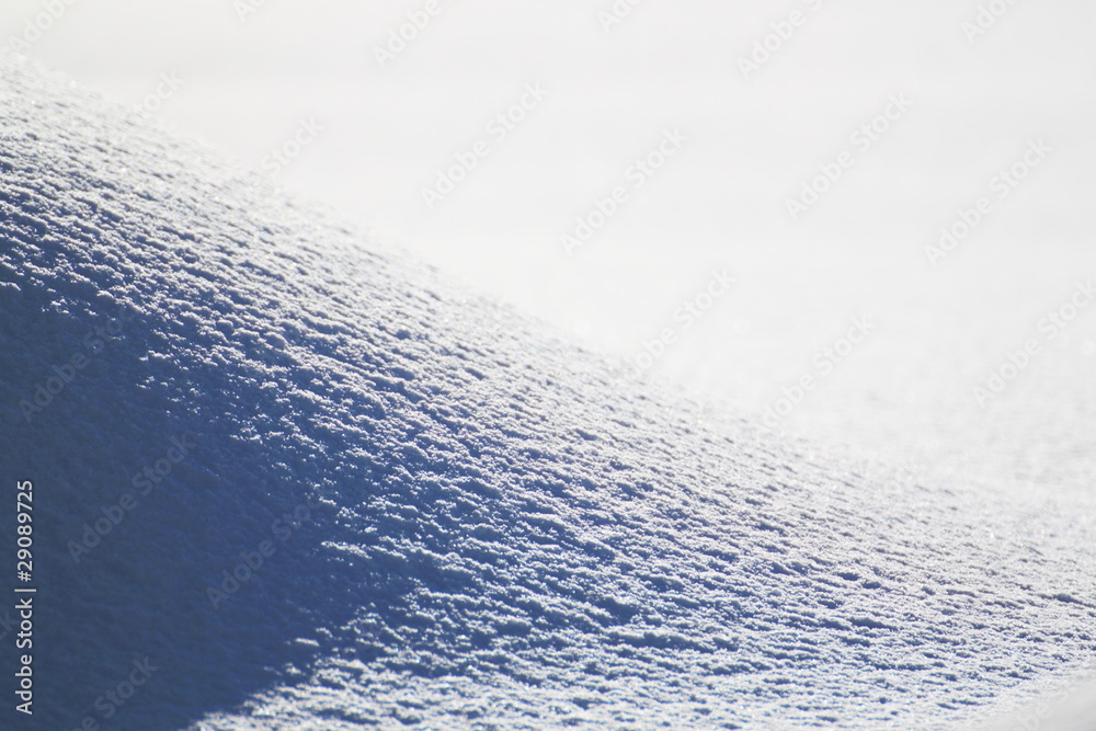 雪原の光と影