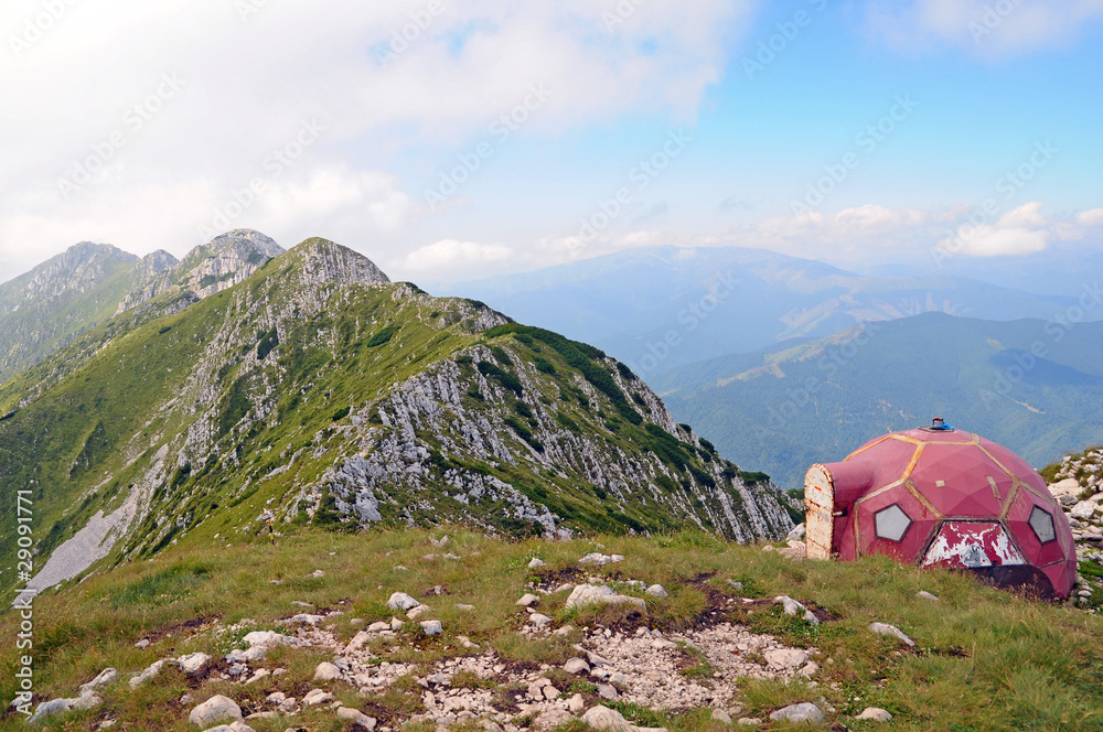 Alpine refugee  on rocky jurassic chalk ridge