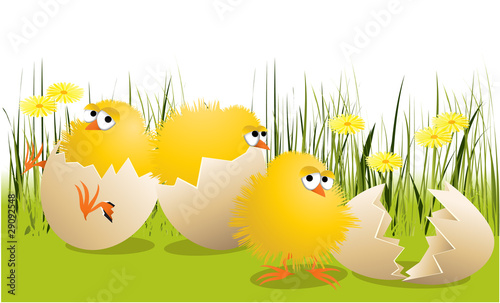 Easter chickens