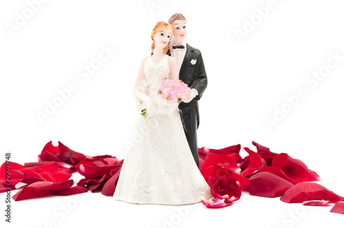 bride and groom with rose petals photo