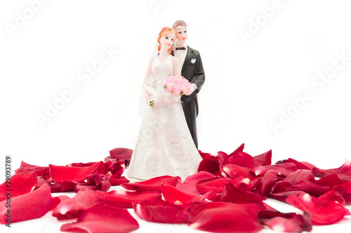 bride and groom with rose petals photo