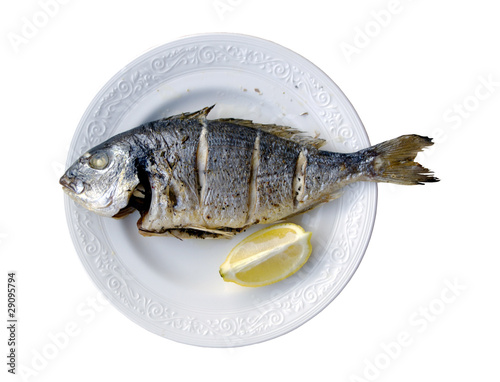 gilthead (dorada) fish on a plate