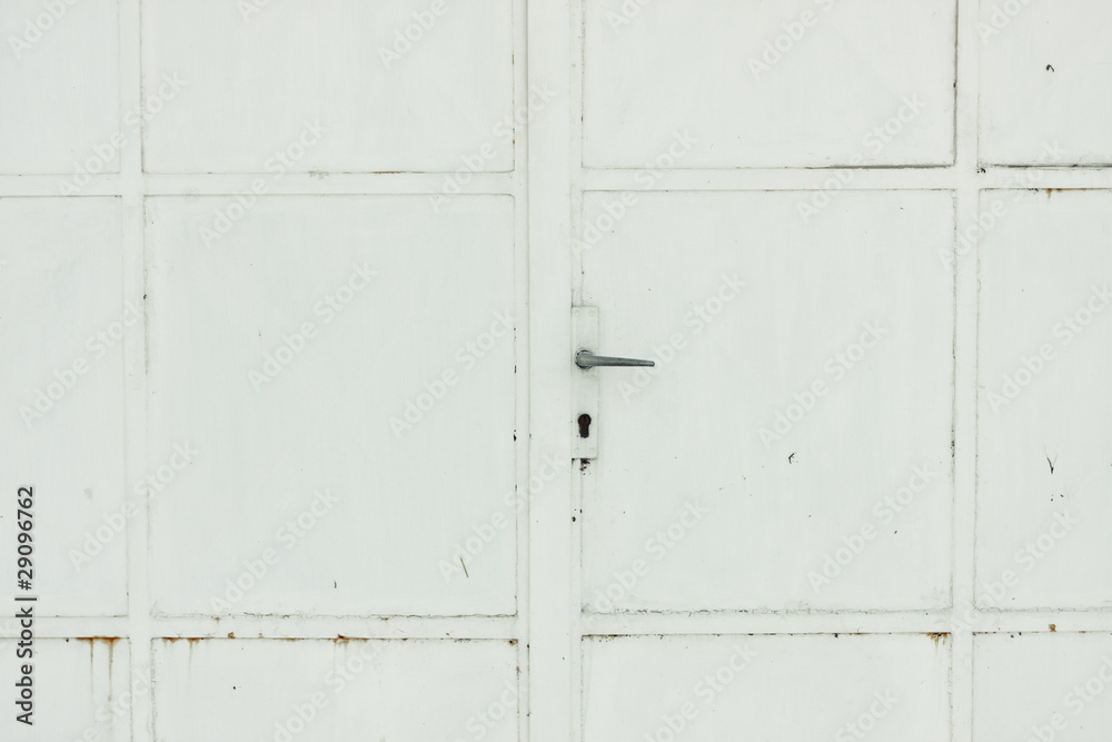 metal door with handle