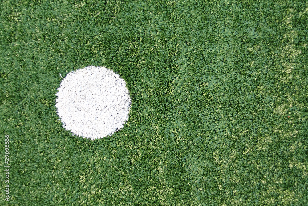 Obraz premium Fake grass soccer field