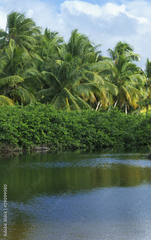 laguna nature