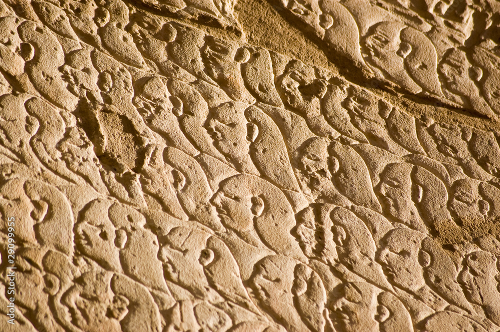 Ancient Egyptian Army, Kadesh