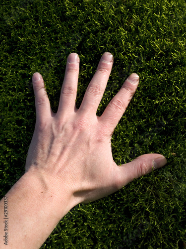 one hand on green moss