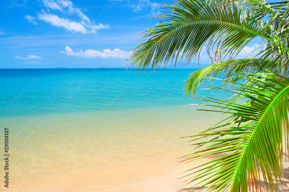 beautiful tropical beach and sea