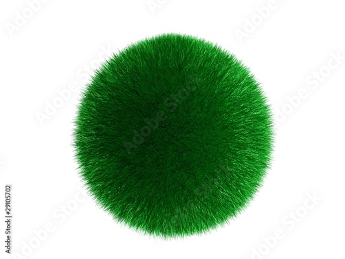 ball of fluff