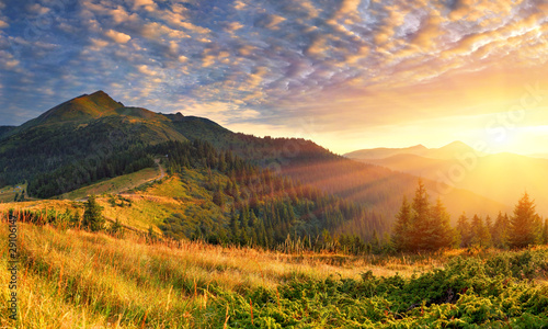 Summer landscape in the mountains. Sunrise