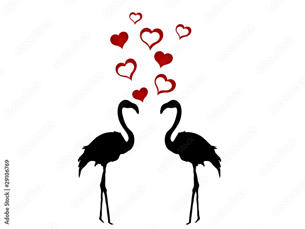 Fototapeta premium Two flamingos
