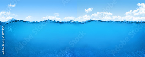 Fotografie, Obraz underwater scene