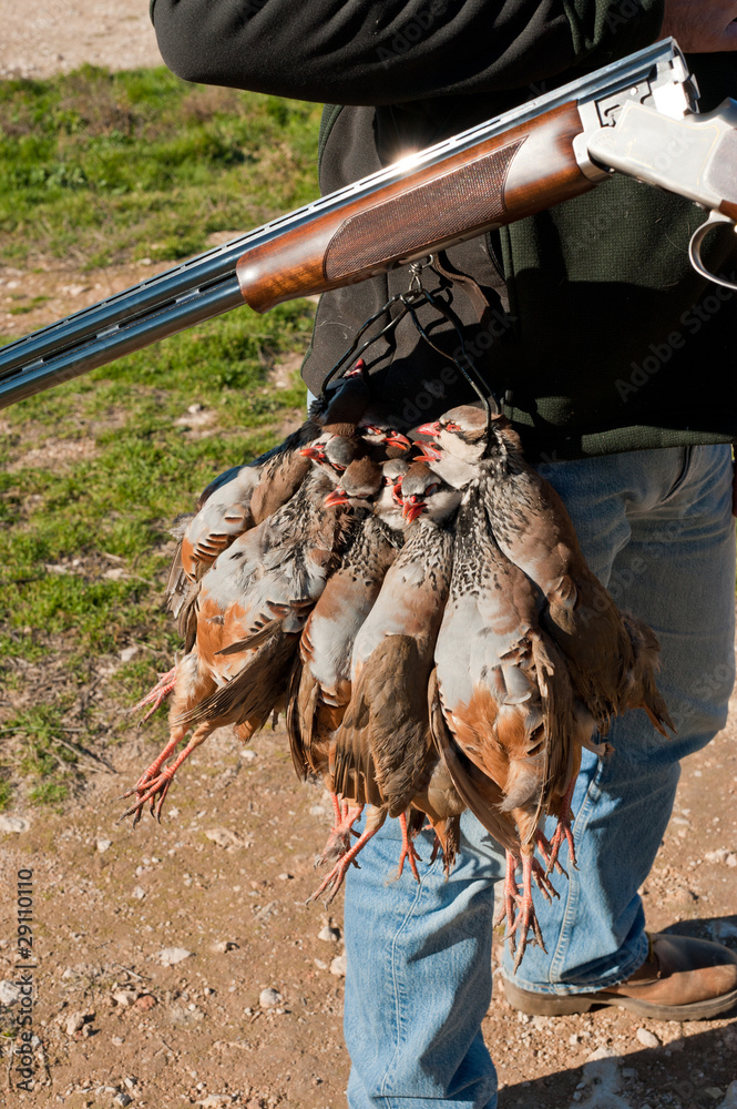 Fototapeta premium Hunting still life